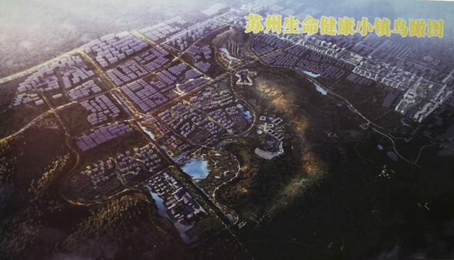 生命健康小镇 鸟瞰图_副本.jpg